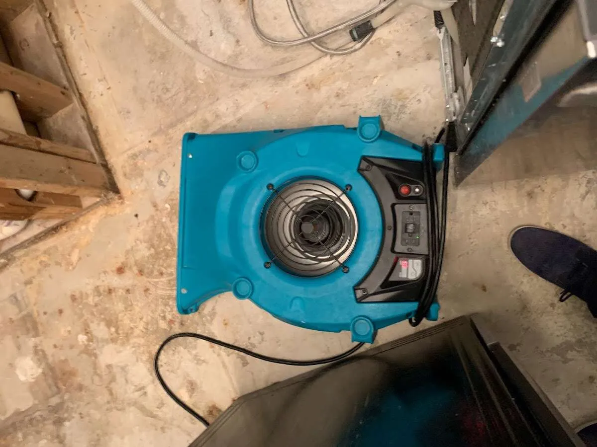 Air mover drying equipment for Mold Remediation & Removal in El Cerrito